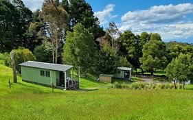 Cozy Otways Accommodation